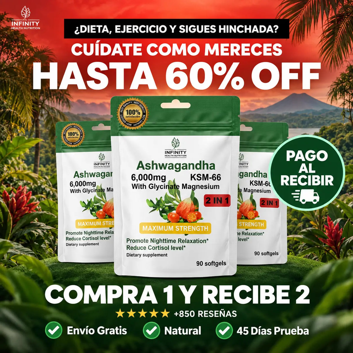 Ashwagandha KSM-66® + Glicinato de Magnesio - 90 softgels